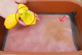 毛巾用久了发黄发硬难清洗，保姆教我一招，用它泡泡，比新的还好图片