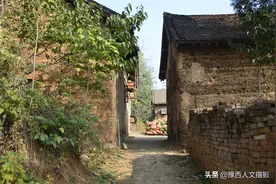 父子俩大山深处养蜂，3亩地仅收21袋玉米，借个南瓜炒菜吃两天图片