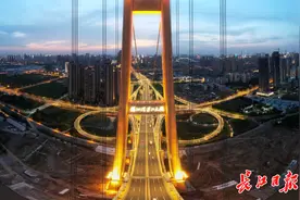 夜晚的杨泗港长江大桥，好美 | 图集图片