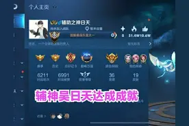 辅助位置全国标玩家诞生，号主从不充钱，国标数量比皮肤还多图片