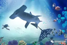 捕鱼秘籍——新手篇图片