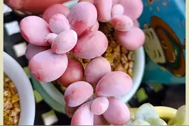 身有归宿，心有归途，像多肉一样静待花开，惊艳四方图片