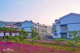 合村并居：山东按下的暂停键如何重启图片