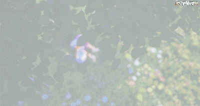 原班人马打造！承包00后童年的洛克王国，时隔11年终于出手游