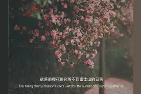 没有亲眼所见，就不要着急用嘴巴来证明图片