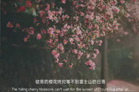 没有亲眼所见，就不要着急用嘴巴来证明图片