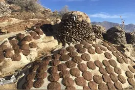 印度的牛粪饼有何用处？一盒卖205卢比，经常被卖到脱销图片