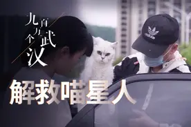 武汉留守猫咪饿到啃火锅底料，大哥上门喂猫上千次，却被污蔑偷猫图片