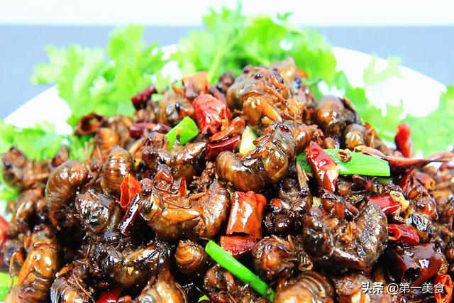 知了怎么做好吃（金蝉这样做没有一点土腥味）