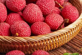 好消息！安溪这个乡镇将举办荔枝文化节，邀您来参加图片