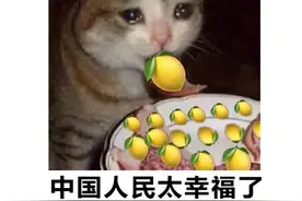 二次元狂喜？原神新角色让玩家直呼扛不住图片