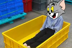 神经病啊，谁搞的猎奇猫咪用品图片