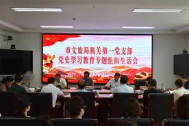 市文旅局机关第一党支部召开党史学习教育专题组织生活会图片