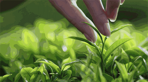 雅顿绿茶蜂蜜身体乳生产日期