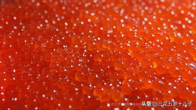 大马哈鱼籽第一次吃有点腥！第二次吃有点咸！随后一直都想吃