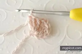 新手学习编织，看看这个钩花的过程很快就能学会图片