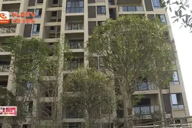 警惕！仪陇县城一小区部分住户猫眼失踪图片