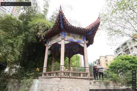 发现木结构｜贵州省铜仁市世纪公园户外景观图片