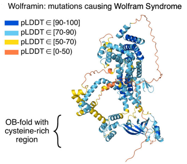 这个困扰了科学家70年的难题，现在被AI解决了