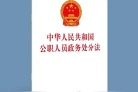 【实证纪法】公职人员依法受到刑事责任追究或行政处罚后如何给予政务处分图片