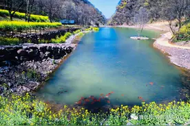 天气晴好，宜踏青赏花丨来祥龙，拍抖音，免门票！图片