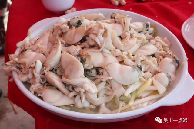 吴川有花胶吗 2026年吴川市花 吴川有花胶吗 2026年吴川市花