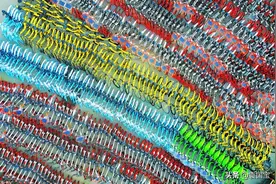 哈啰出行的商业版图，早已不止是车图片