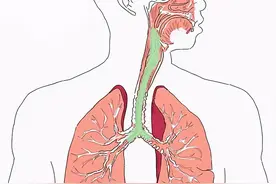 从肺里咳出来的痰到底有多脏？咽下去对身体有害吗？图片