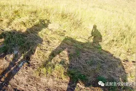 跟着蒙古大哥骑马去看喀纳斯湖，聊天吓一跳！图片