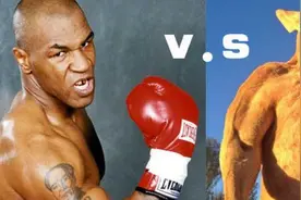 袋鼠是天生的拳击手，职业拳击手能打败它吗？泰森的回答让人信服图片