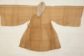 别翻书！马上告诉我，哪些植物可以用来纺布制衣？图片