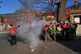 怒放的生命图片