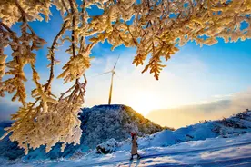 在重庆，慢慢听雪落下的声音图片