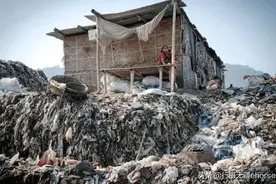 印度贫民吃住在超大的垃圾场，以腐肉为食的成群大秃鹳伴其左右图片