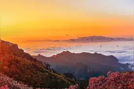 丹东又红了！图片