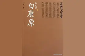 「名著推荐」|《白鹿原》：一个原，两家族，三代人图片