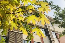 新乡市高新区振中街小学“实战”演立“示范”进行返校复学推演图片