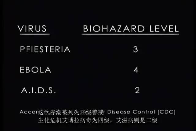 疯了，为了推荐这部电影，他绑架了13个人