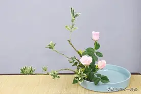 司马懿的人生告诉你：学会等待，是人生的一种大智慧图片