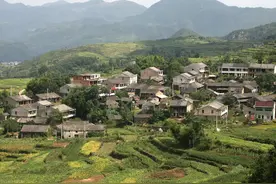 从莆田案件深思：农村的纠纷不止有占地纠纷，还有拉偏架的护短图片