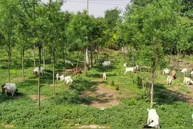 现在农村的生活条件这样了，让你离开城市回农村生活，你愿意吗？图片