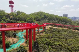 深圳虹桥公园旅游攻略图片