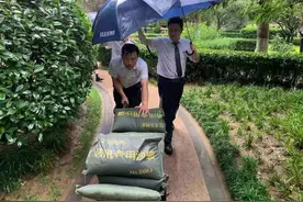 只是一篇日记，却记下了难忘的一天图片