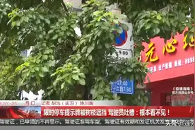 限时停车提示牌被树枝遮挡 驾驶员吐槽：根本看不见图片