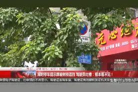 限时停车提示牌被树枝遮挡 驾驶员吐槽：根本看不见图片