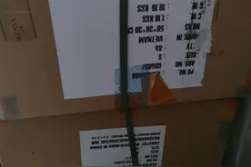 凌晨四点拉书：叫醒你的不是闹钟，而是生活和责任图片