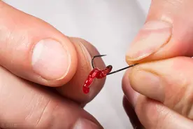 冬钓鲫鱼首选红虫饵，这些实用挂钩调漂技巧，助你轻松爆护图片