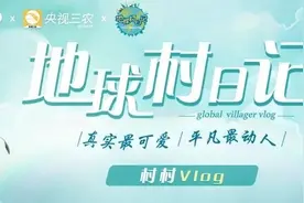 鹅肉千万别这么做，怕它太好吃了！图片