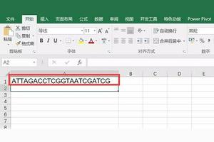 如何计算DNA中基因序列编号?图