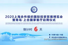 刘建军：把2020上合博览会办成一次隆重、成功、安全的盛会图片